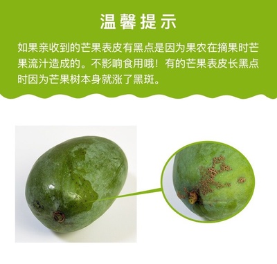 海南芒果 炎夏熱土的真“忙”事，甜蜜誘惑讓人欲不能停！